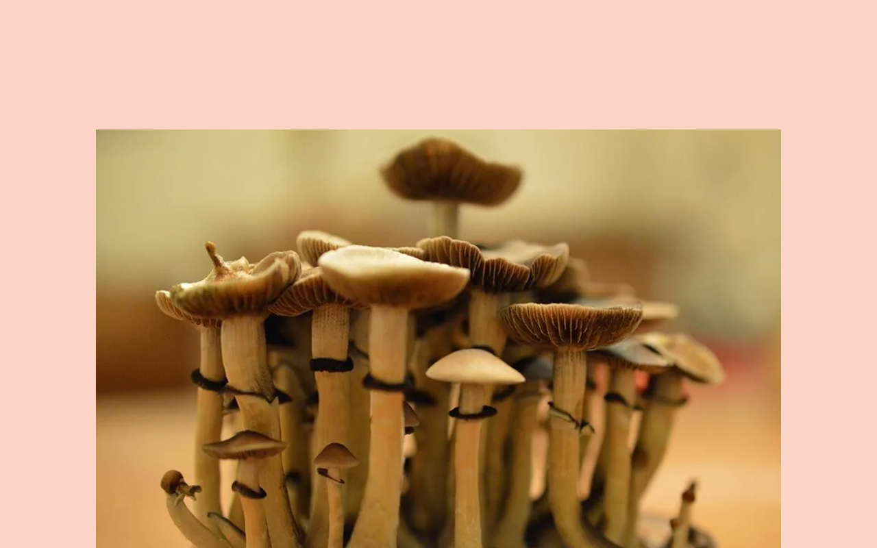 DoubleBlind Magazine